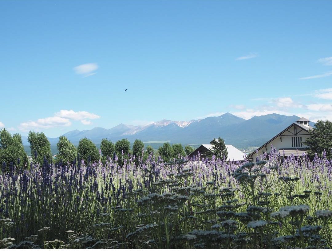 NHỮNG LÍ DO NÊN THUÊ WIFI KHI ĐI NHẬT BẢN